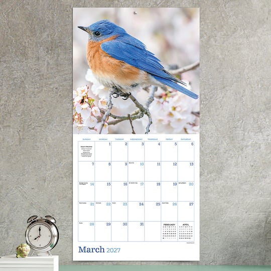 2027 Backyard Birds Wall Calendar